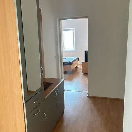 Vila Jeka Apartment Soko Banja