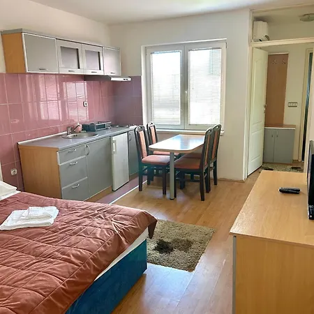 Apartment Vila Jeka Soko Banja