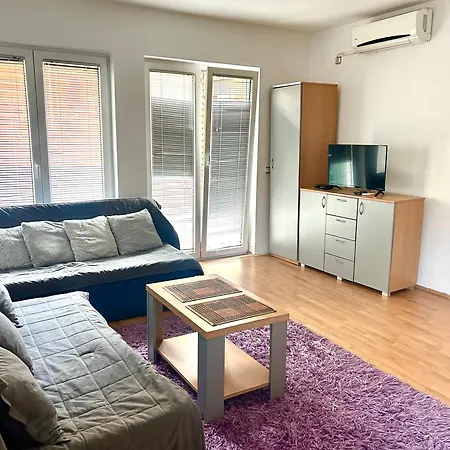 Vila Jeka Apartment Soko Banja